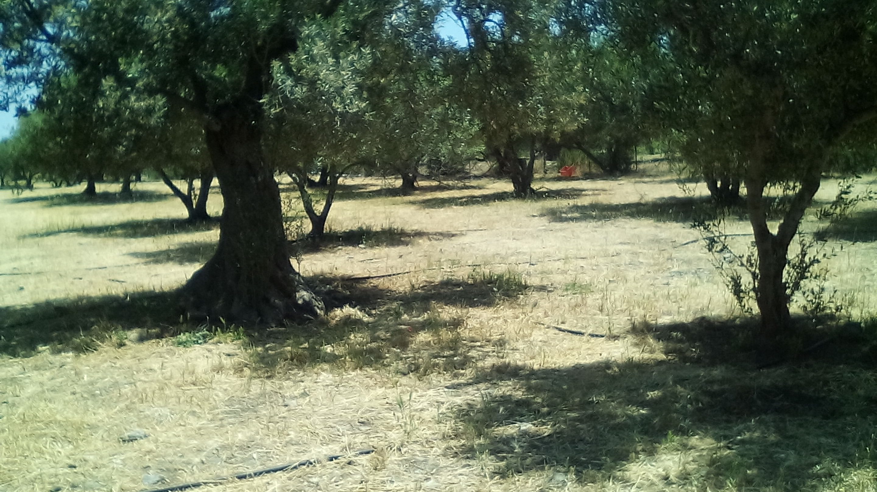 oik3 οικοπεδα