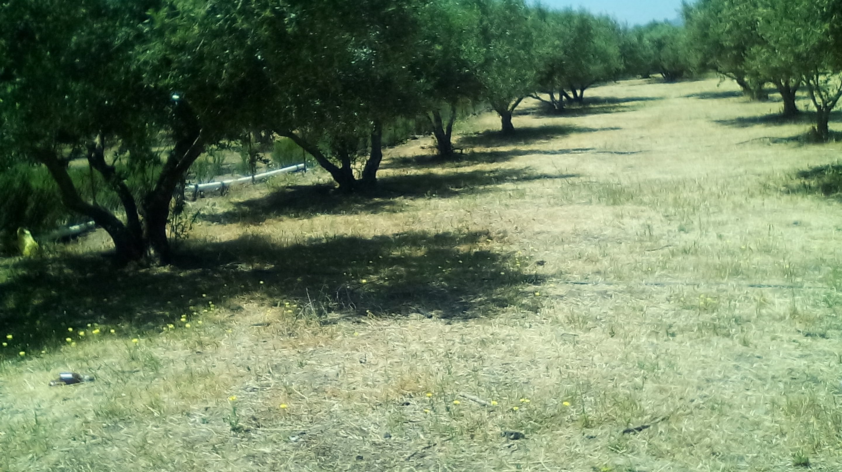 oik4 οικοπεδα