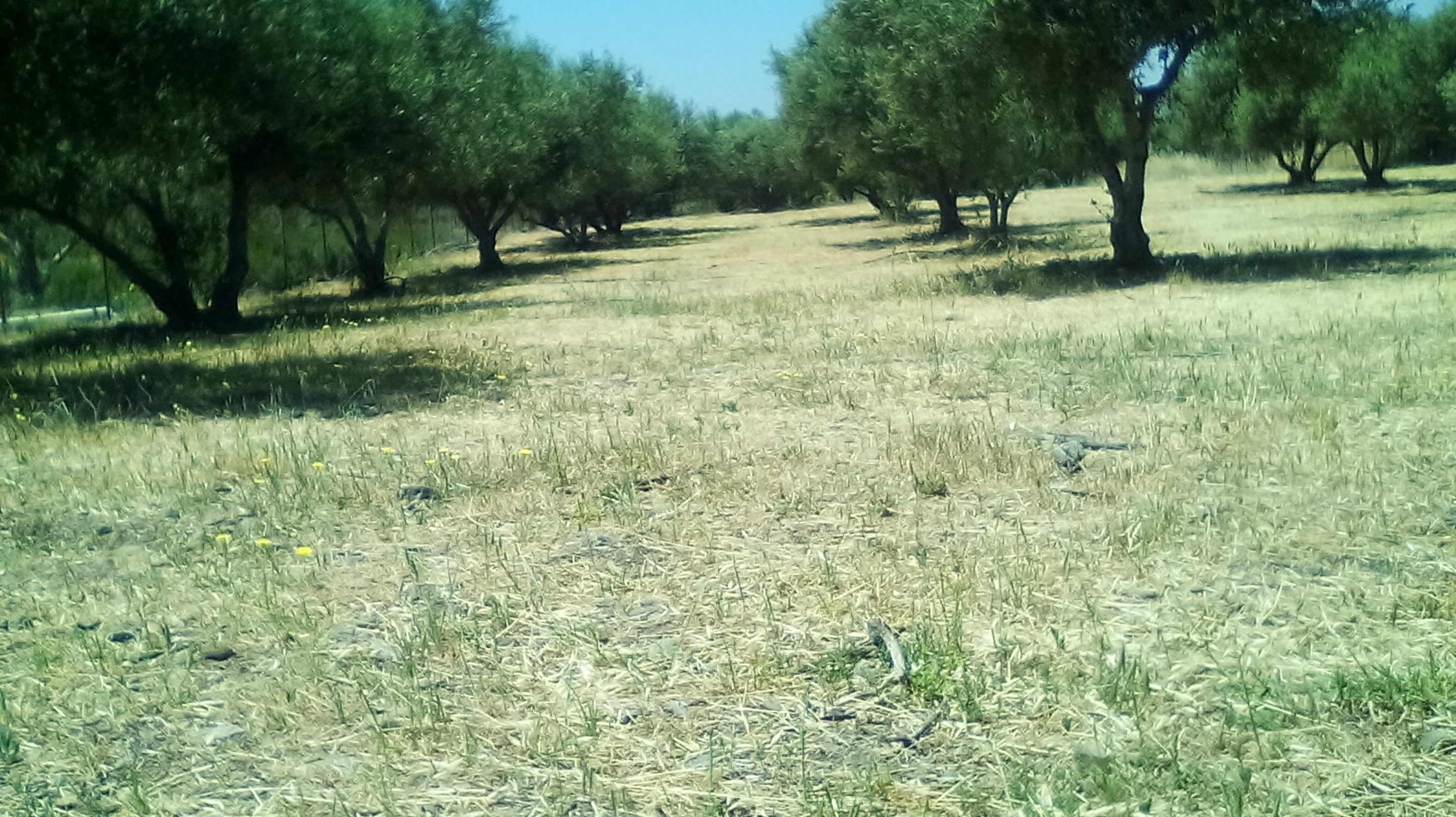 oik5 οικοπεδα