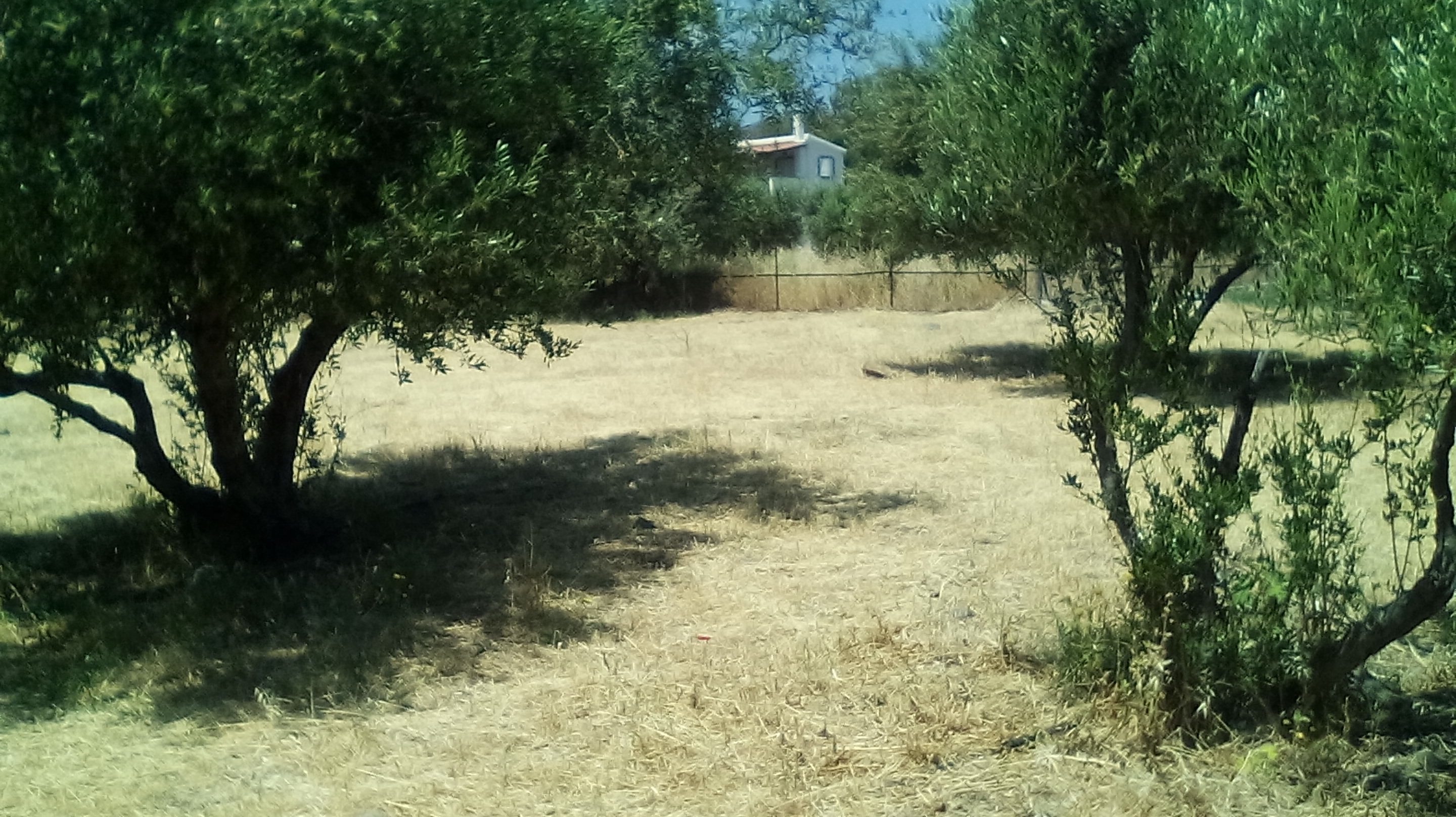 oik6 οικοπεδα