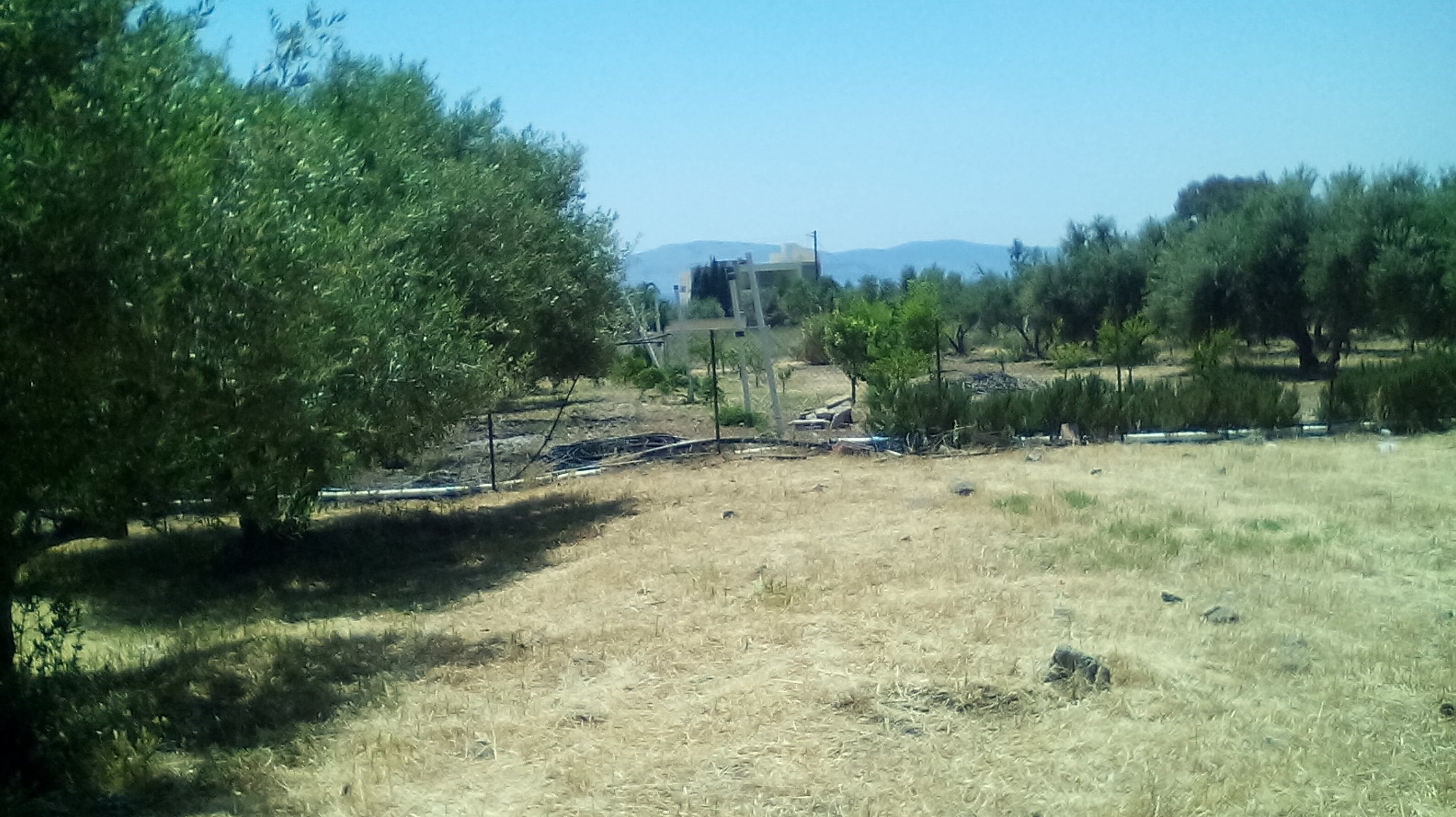 oik7 οικοπεδα