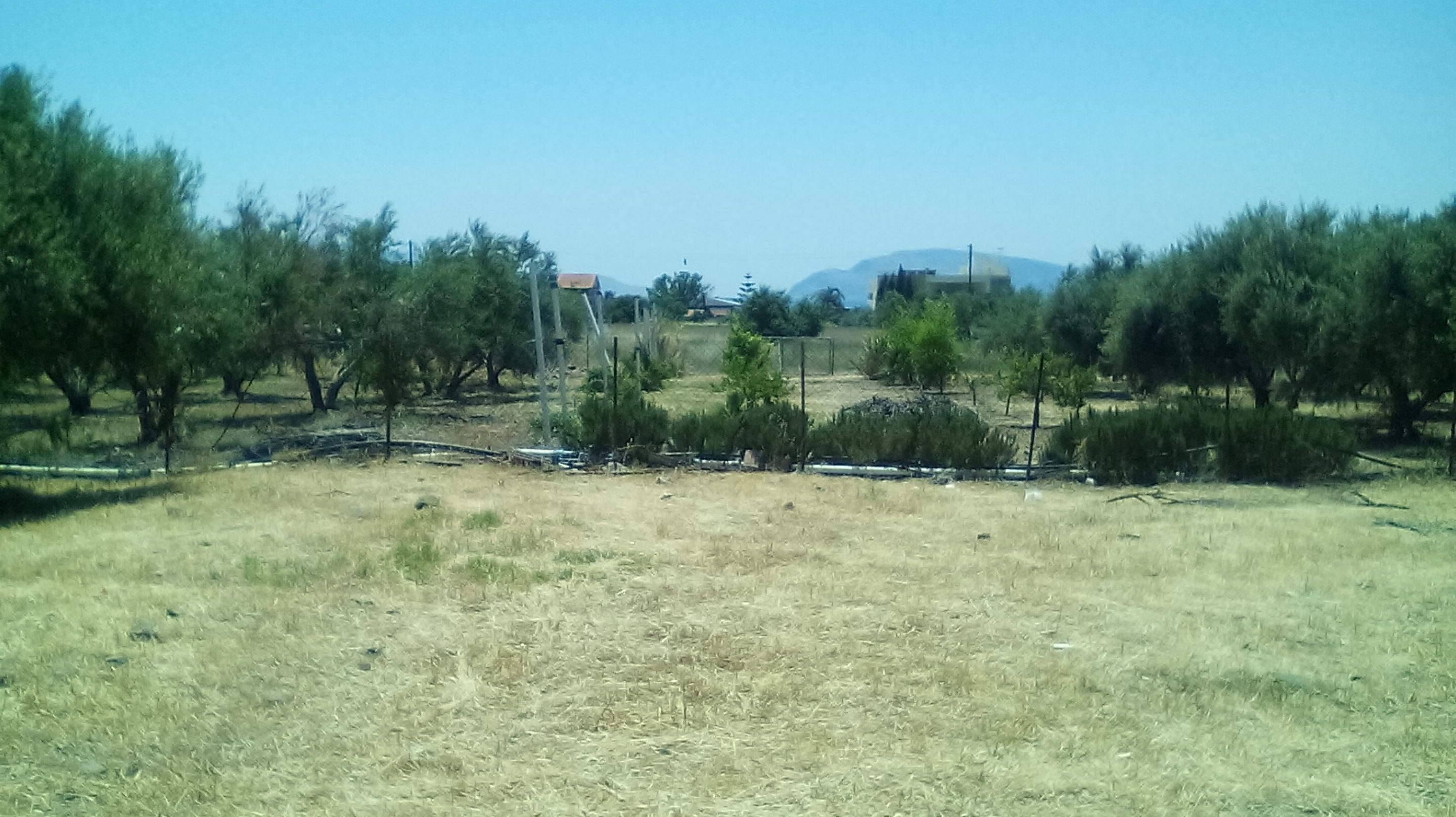 oik8 οικοπεδα